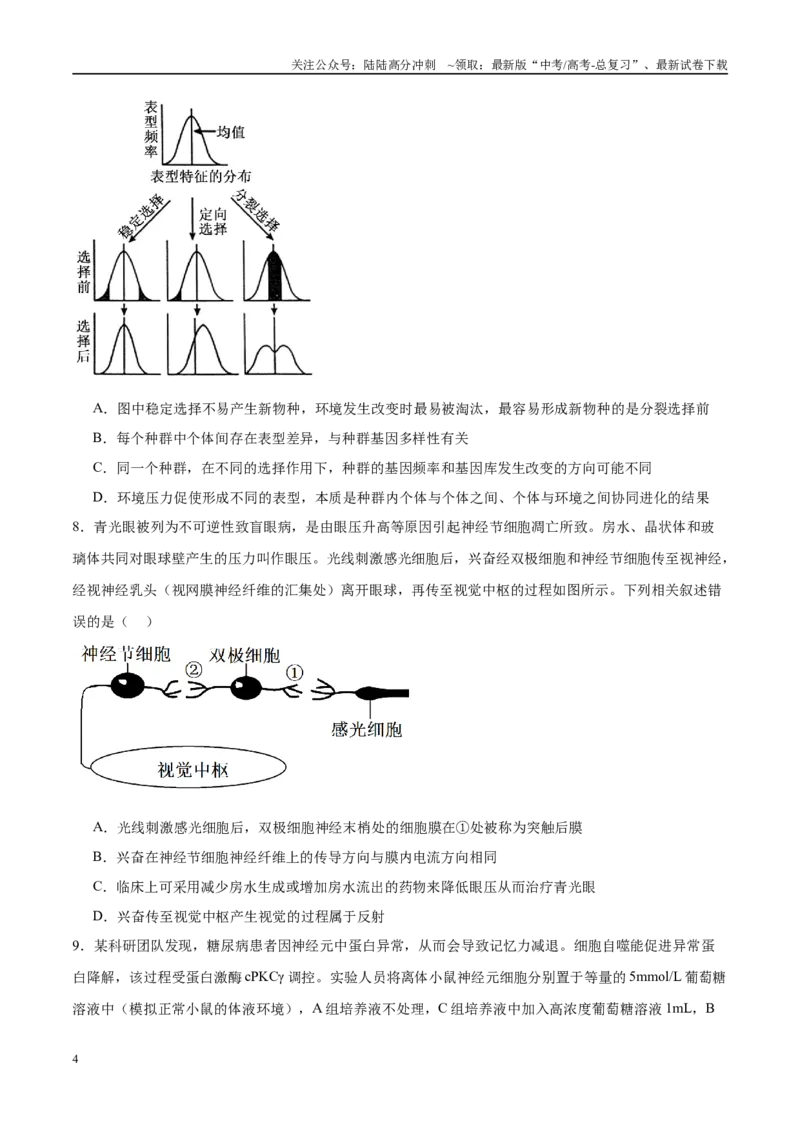 《模拟卷04（重庆专用）（考试版）_06-生物-高考总复习_专项复习_2025年_2025年高考生物模拟卷（重庆专用）4套》第4页预览