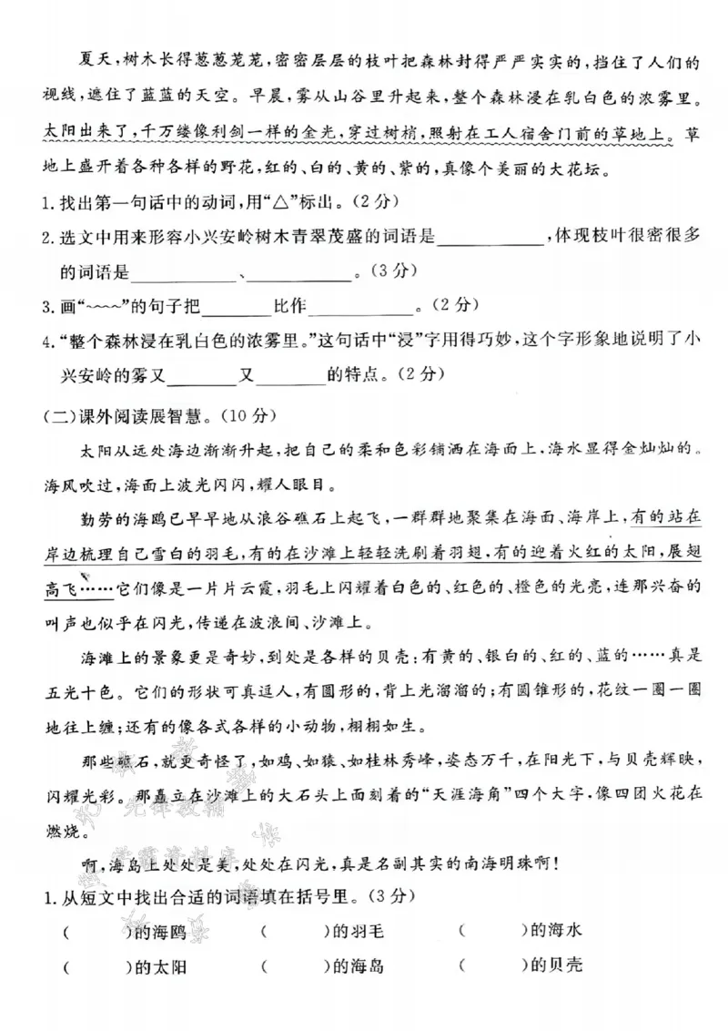《24学年三年级上册语文第六单元测试卷（孤单）SY_3年级上册同步教辅合集_3上-语文_三上语文-单元＋期中＋期末试卷_三上语文-单元卷》第3页预览
