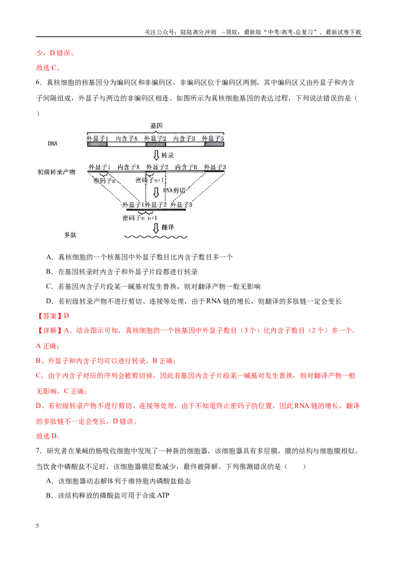 《模拟卷04（湖南专用）（解析版）_06-生物-高考总复习_专项复习_2025年_2025年高考生物模拟卷（湖南专用）4套》第5页预览