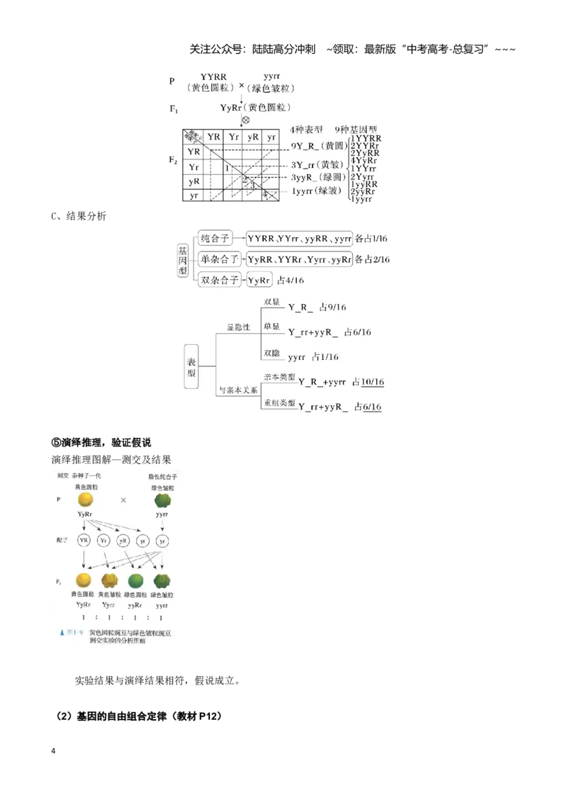 《抢分秘籍遗传与进化（回归教材知识清单）（学生版）_06-生物-高考总复习_专项复习_2026年-生物高考专项复习_2026年高考生物终极冲刺讲练测（全国通用）-G459_2026版》第5页预览