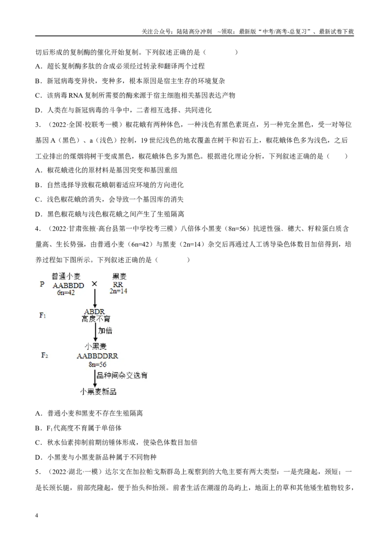 《解密14进化（分层训练）-高频考点解密2023年高考生物二轮复习讲义+分层训练（新教材）（原卷版）_06-生物-高考总复习_二轮复习_2024年_资料》第4页预览