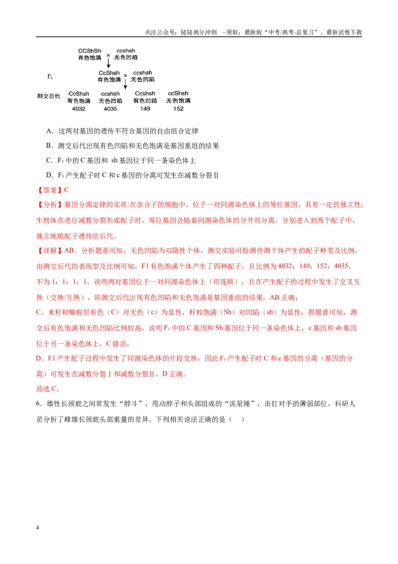 《模拟卷02（重庆专用）（解析版）_06-生物-高考总复习_专项复习_2025年_2025年高考生物模拟卷（重庆专用）4套》第4页预览