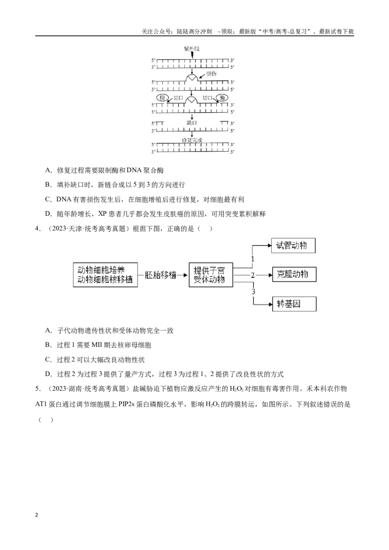《必刷12基因工程（共50题）（原卷版）_06-生物-高考总复习_专项复习_2024年_2024年新高考生物总复习高频考点必刷题真题模拟题_资料》第2页预览