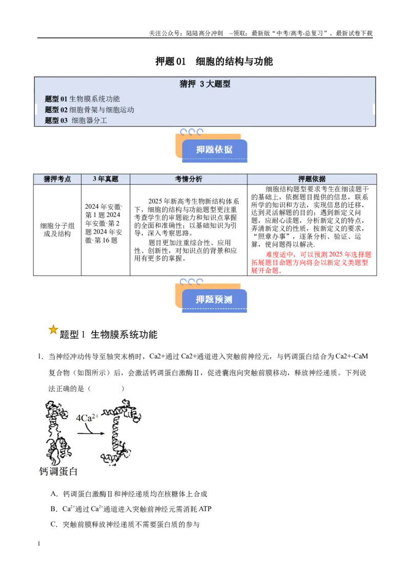 《押题01细胞结构与功能（3大题型猜押）（学生版）_06-生物-高考总复习_专项复习_2025年_2025年高考生物抢押秘籍（安徽专用）》第1页预览
