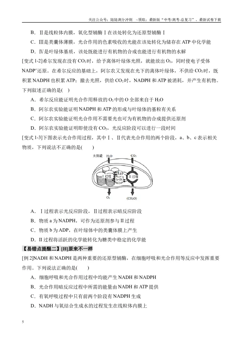 《易错点06光合与呼吸综合易错综合（5大陷阱）（学生版）_06-生物-高考总复习_专项复习_2025年_2025年高考生物考试易错题（新高考通用）》第5页预览