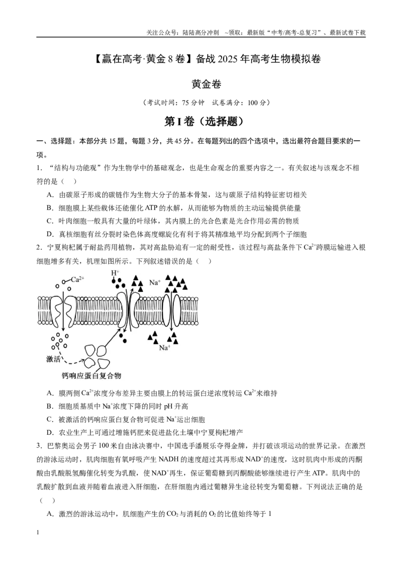 《模拟卷03（新高考八省专用）（考试版）_06-生物-高考总复习_专项复习_2025年_2025年高考生物模拟卷（新高考八省专用）8套》第1页预览