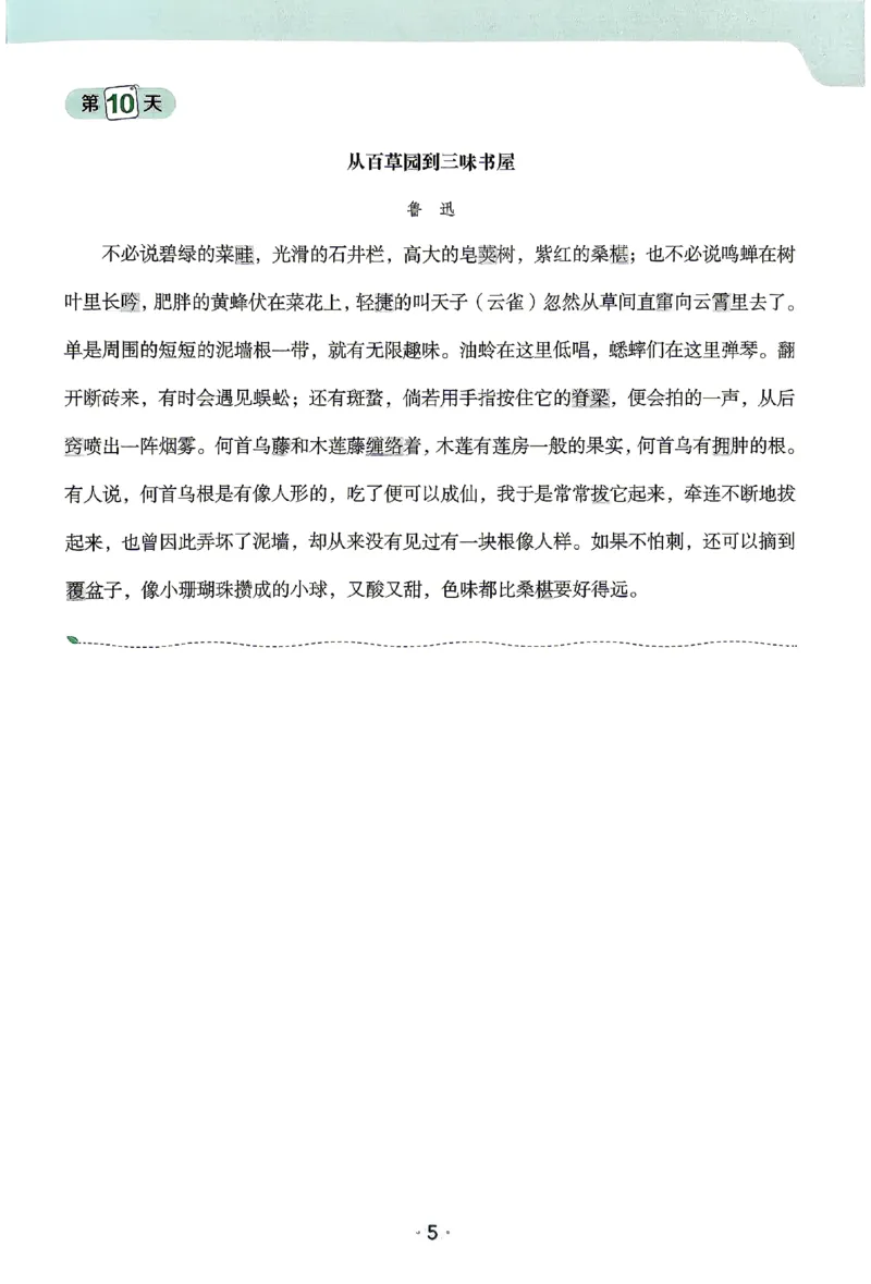 《2026《阳光同学•领跑新初一暑假衔接》语文默写手册_26秋小学初中各机构教辅大合集（一本、教材帮、阳光同学、王朝霞、实验班、小典中点、上分卷、白欧、课堂笔记等等）》第6页预览