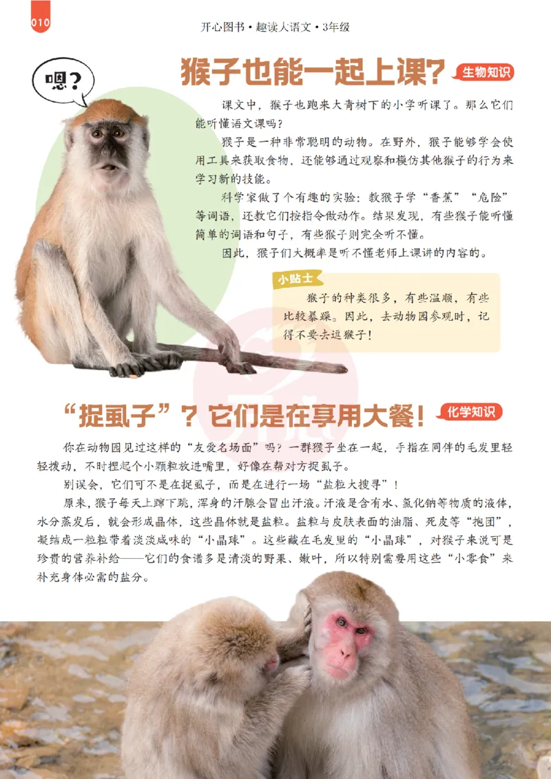 《26秋-趣读大语文-3年级上册-电子样书_26秋小学初中各机构教辅大合集（一本、教材帮、阳光同学、王朝霞、实验班、小典中点、上分卷、白欧、课堂笔记等等）_26秋小学教辅资料》第10页预览