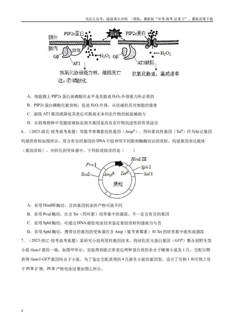 《必刷12基因工程（共50题）（学生版）_06-生物-高考总复习_专项复习_2024年_2024年新高考生物总复习高频考点必刷800题_2024版》第3页预览