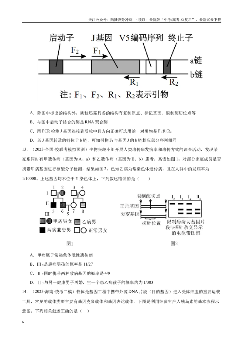 《必刷12基因工程（共50题）（学生版）_06-生物-高考总复习_专项复习_2024年_2024年新高考生物总复习高频考点必刷800题_2024版》第6页预览