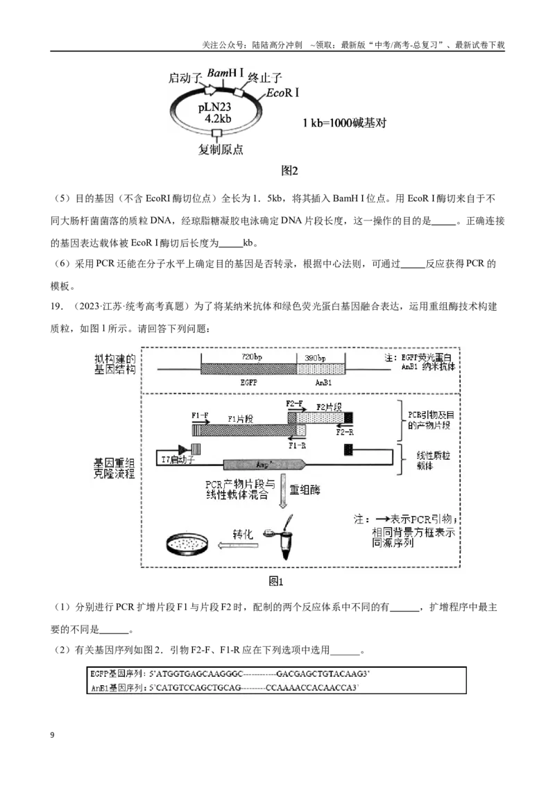《必刷12基因工程（共50题）（学生版）_06-生物-高考总复习_专项复习_2024年_2024年新高考生物总复习高频考点必刷800题_2024版》第9页预览