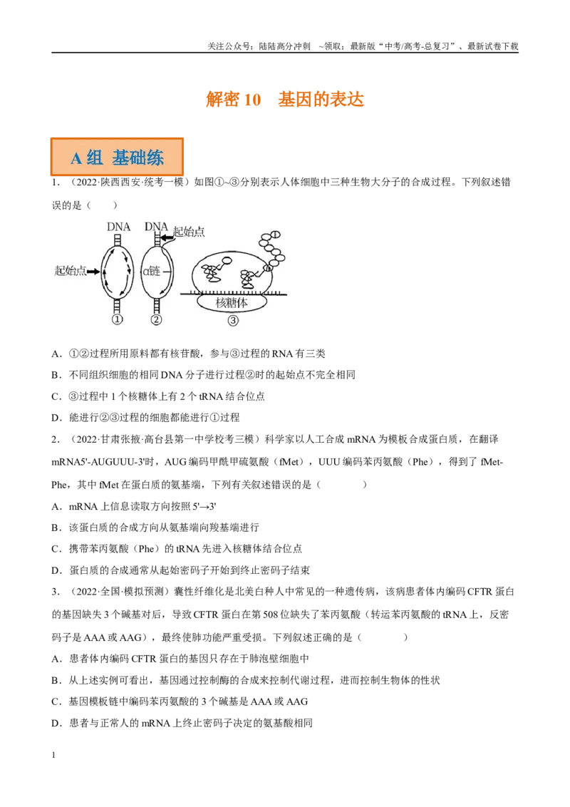 《解密10基因的表达（分层训练）-高频考点解密2023年高考生物二轮复习讲义+分层训练（新教材）（原卷版）_06-生物-高考总复习_二轮复习_2024年_资料》第1页预览