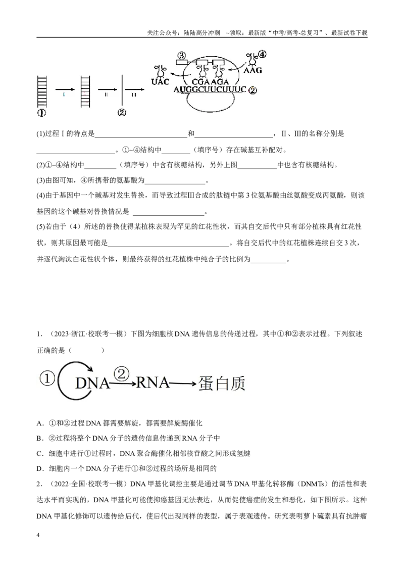 《解密10基因的表达（分层训练）-高频考点解密2023年高考生物二轮复习讲义+分层训练（新教材）（原卷版）_06-生物-高考总复习_二轮复习_2024年_资料》第4页预览