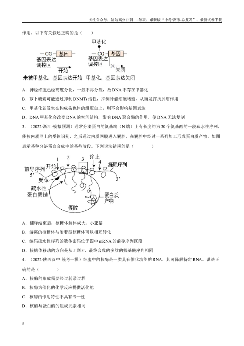 《解密10基因的表达（分层训练）-高频考点解密2023年高考生物二轮复习讲义+分层训练（新教材）（原卷版）_06-生物-高考总复习_二轮复习_2024年_资料》第5页预览