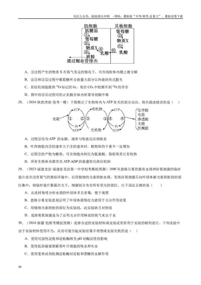 《必刷04细胞的能量供应和利用（70题）（学生版）_06-生物-高考总复习_专项复习_2024年_2024年新高考生物总复习高频考点必刷800题_2024版》第10页预览