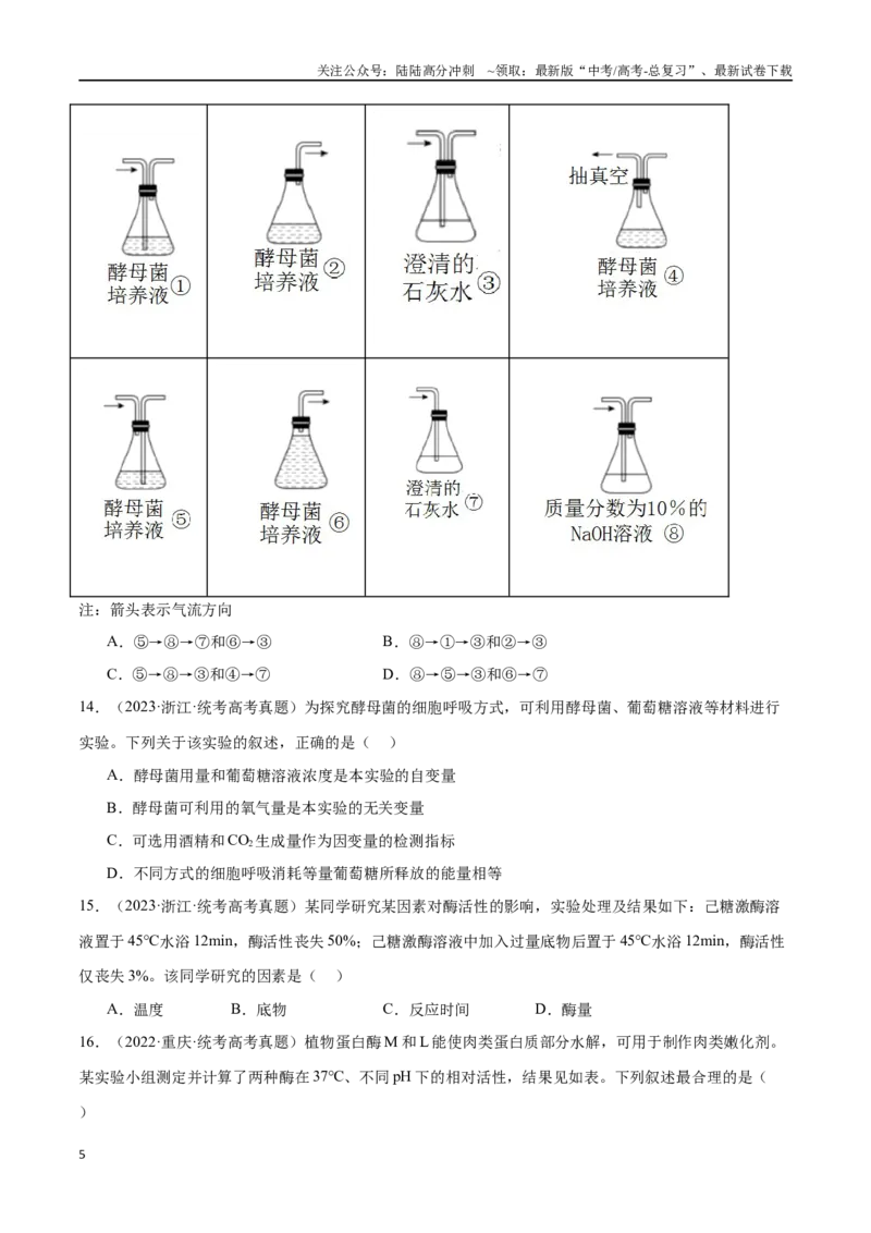 《必刷04细胞的能量供应和利用（70题）（学生版）_06-生物-高考总复习_专项复习_2024年_2024年新高考生物总复习高频考点必刷800题_2024版》第5页预览