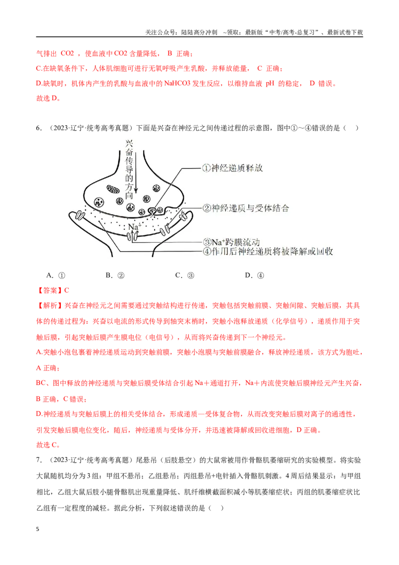 《必刷07动物生命活动调节（共70题）（教师版）_06-生物-高考总复习_专项复习_2024年_2024年新高考生物总复习高频考点必刷800题_2024版》第5页预览