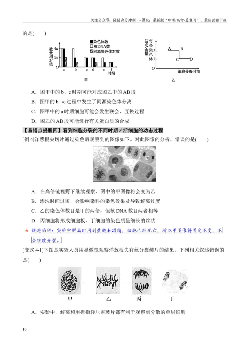 《易错点07细胞有丝分裂与减数分裂易错对比(过程、图表、图象)（6大陷阱）（学生版）_06-生物-高考总复习_专项复习_2025年_2025年高考生物考试易错题（新高考通用）》第10页预览