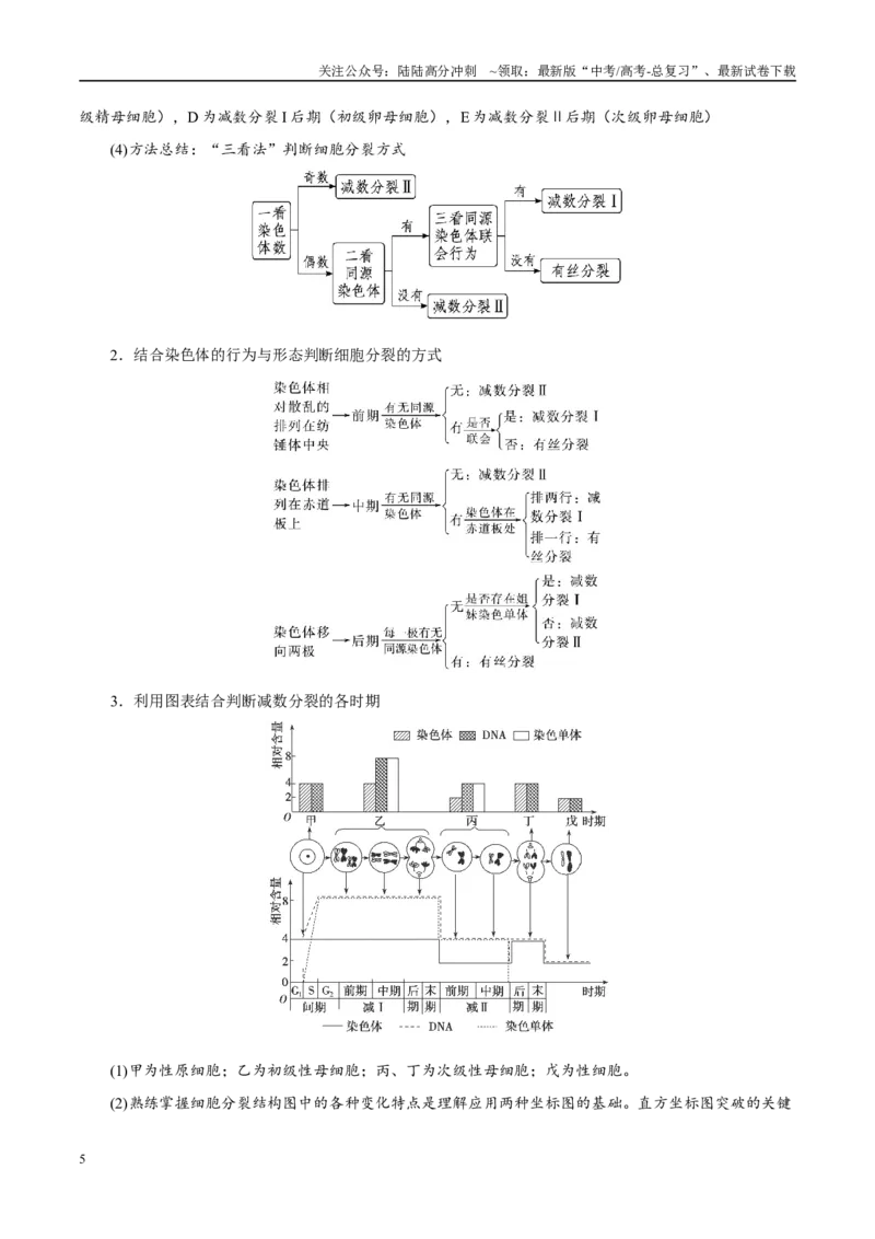 《易错点07细胞有丝分裂与减数分裂易错对比(过程、图表、图象)（6大陷阱）（学生版）_06-生物-高考总复习_专项复习_2025年_2025年高考生物考试易错题（新高考通用）》第5页预览