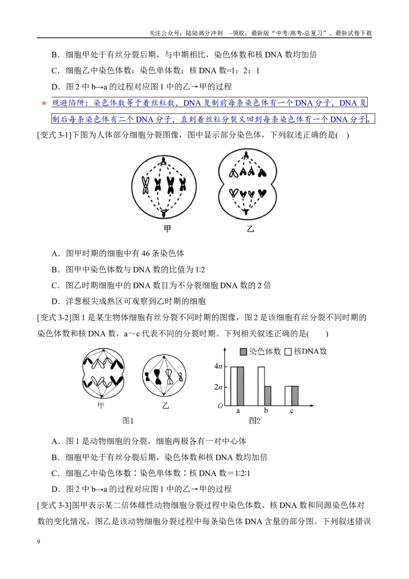 《易错点07细胞有丝分裂与减数分裂易错对比(过程、图表、图象)（6大陷阱）（学生版）_06-生物-高考总复习_专项复习_2025年_2025年高考生物考试易错题（新高考通用）》第9页预览