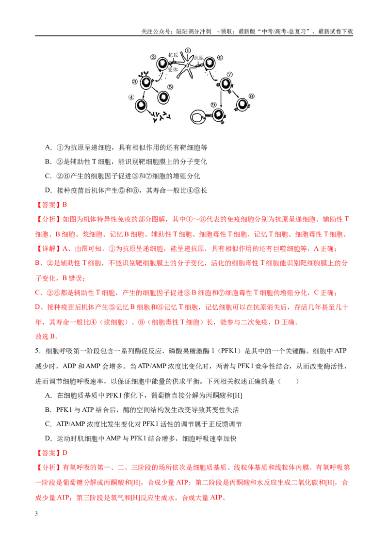 《模拟卷03（福建专用）（解析版）_06-生物-高考总复习_专项复习_2025年_2025年高考生物模拟卷（福建专用）8套》第3页预览