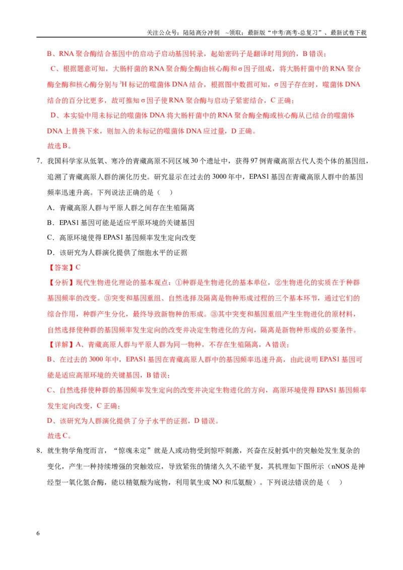 《模拟卷01（重庆专用）（解析版）_06-生物-高考总复习_专项复习_2025年_2025年高考生物模拟卷（重庆专用）4套》第6页预览
