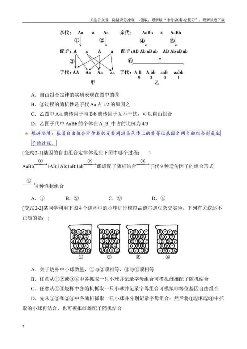 《易错点08遗传规律常见易错思维（6大陷阱）（学生版）_06-生物-高考总复习_专项复习_2025年_2025年高考生物考试易错题（新高考通用）》第7页预览