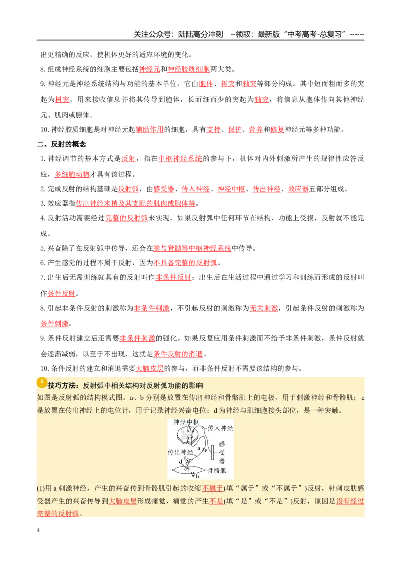 《抢分清单07动物体和人体生命活动的调节（13大考点+7大易错）（核心知识必背）_06-生物-高考总复习_专项复习_2026年-生物高考专项复习_2026年高考生物抢分秘籍（新高考专用）-G221_2026版》第4页预览