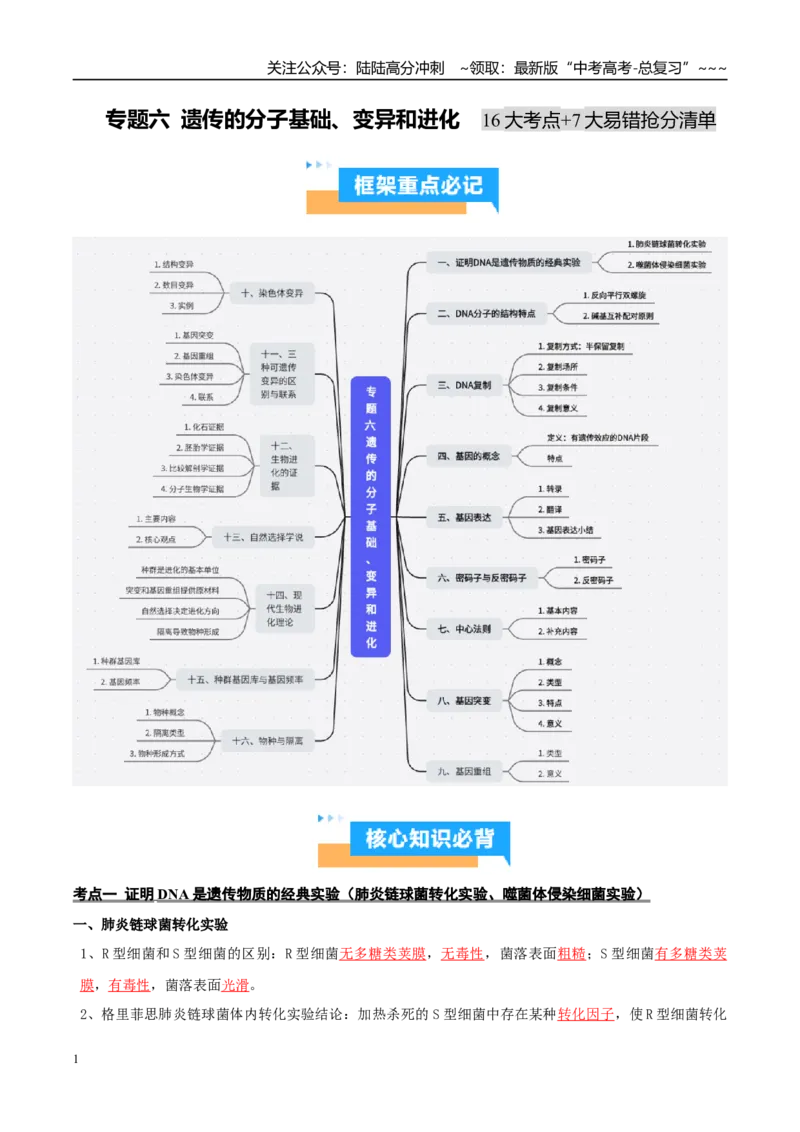 《抢分清单06遗传的分子基础、变异和进化（16大考点+7大易错）（核心知识必背）_06-生物-高考总复习_专项复习_2026年-生物高考专项复习_2026年高考生物抢分秘籍（新高考专用）-G221_2026版》第1页预览
