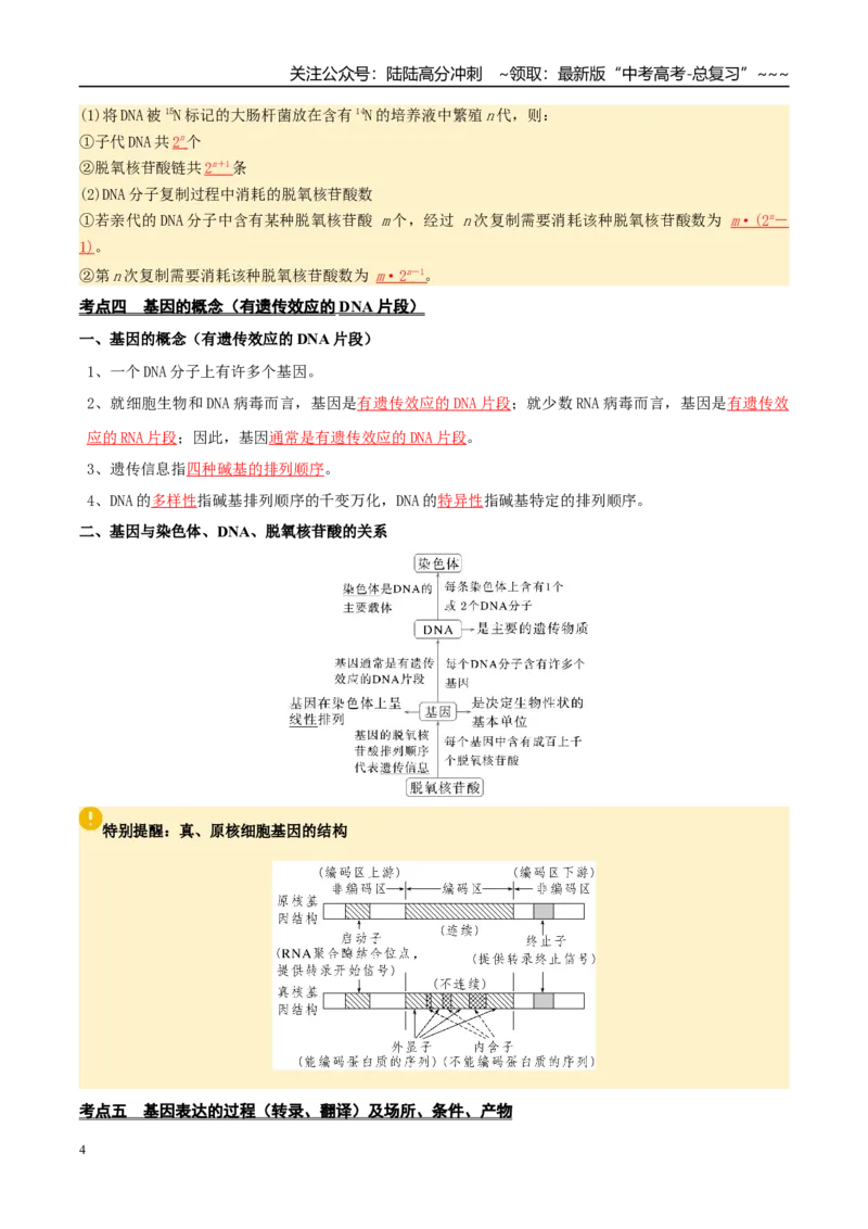 《抢分清单06遗传的分子基础、变异和进化（16大考点+7大易错）（核心知识必背）_06-生物-高考总复习_专项复习_2026年-生物高考专项复习_2026年高考生物抢分秘籍（新高考专用）-G221_2026版》第4页预览