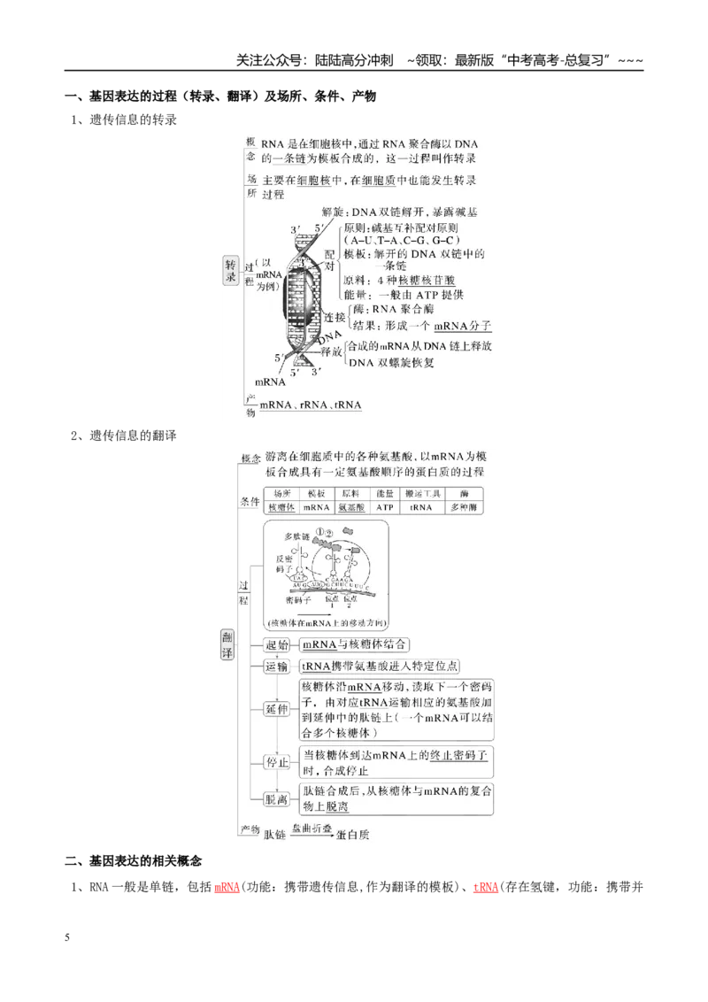 《抢分清单06遗传的分子基础、变异和进化（16大考点+7大易错）（核心知识必背）_06-生物-高考总复习_专项复习_2026年-生物高考专项复习_2026年高考生物抢分秘籍（新高考专用）-G221_2026版》第5页预览