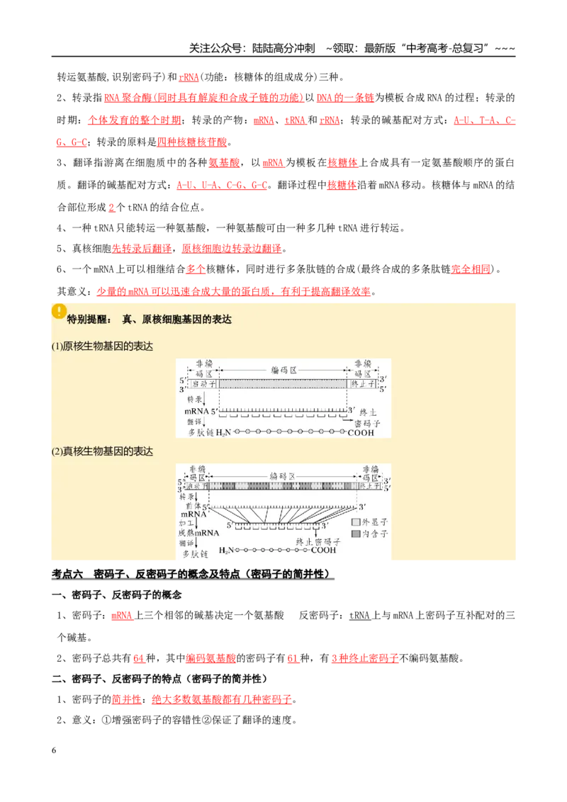 《抢分清单06遗传的分子基础、变异和进化（16大考点+7大易错）（核心知识必背）_06-生物-高考总复习_专项复习_2026年-生物高考专项复习_2026年高考生物抢分秘籍（新高考专用）-G221_2026版》第6页预览
