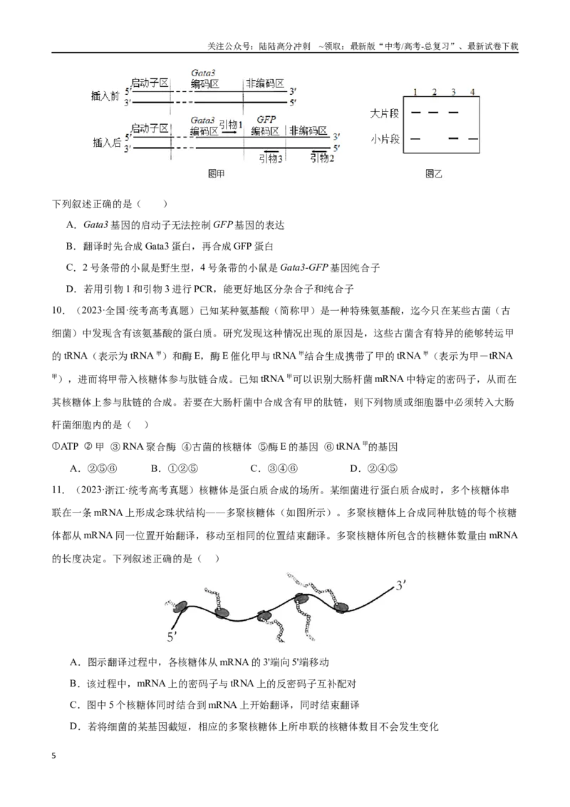 《必刷06基因的表达及异常状况（共50题）（原卷版）_06-生物-高考总复习_专项复习_2024年_2024年新高考生物总复习高频考点必刷题真题模拟题_资料》第5页预览