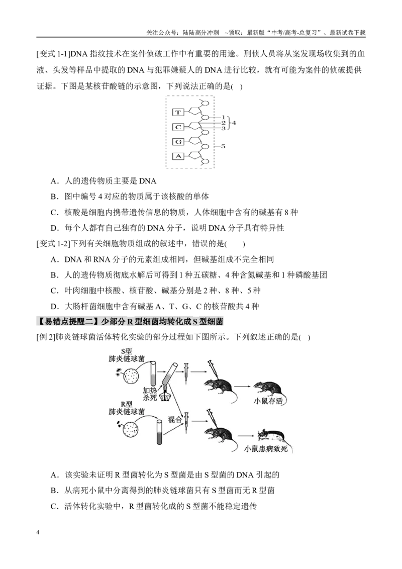 《易错点09基因的本质与表达易错分析（6大陷阱）（学生版）_06-生物-高考总复习_专项复习_2025年_2025年高考生物考试易错题（新高考通用）》第4页预览