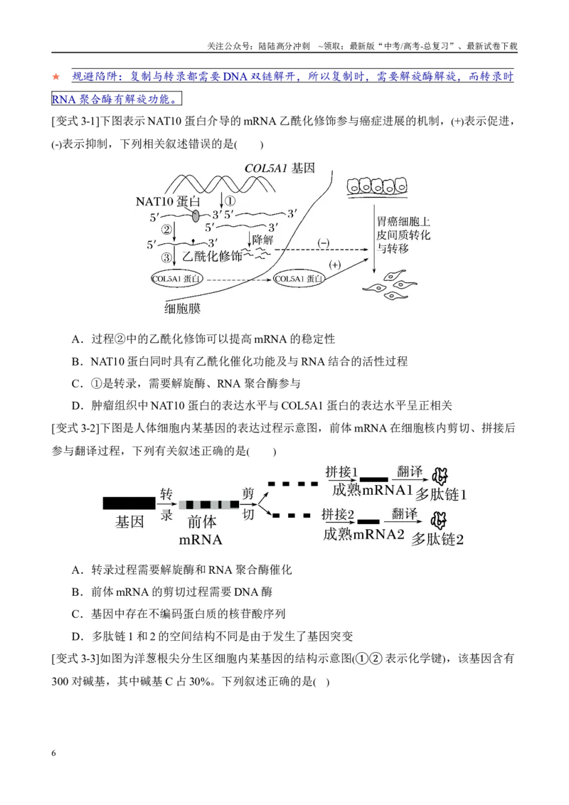 《易错点09基因的本质与表达易错分析（6大陷阱）（学生版）_06-生物-高考总复习_专项复习_2025年_2025年高考生物考试易错题（新高考通用）》第6页预览