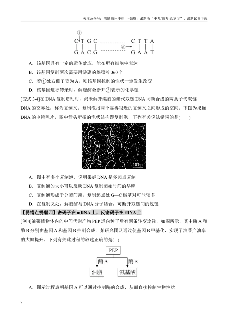 《易错点09基因的本质与表达易错分析（6大陷阱）（学生版）_06-生物-高考总复习_专项复习_2025年_2025年高考生物考试易错题（新高考通用）》第7页预览