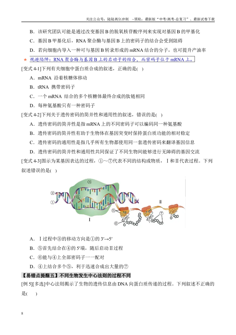 《易错点09基因的本质与表达易错分析（6大陷阱）（学生版）_06-生物-高考总复习_专项复习_2025年_2025年高考生物考试易错题（新高考通用）》第8页预览