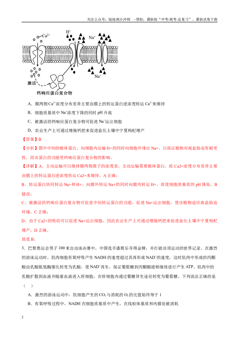 《模拟卷03（新高考八省专用）（解析版）_06-生物-高考总复习_专项复习_2025年_2025年高考生物模拟卷（新高考八省专用）8套》第2页预览