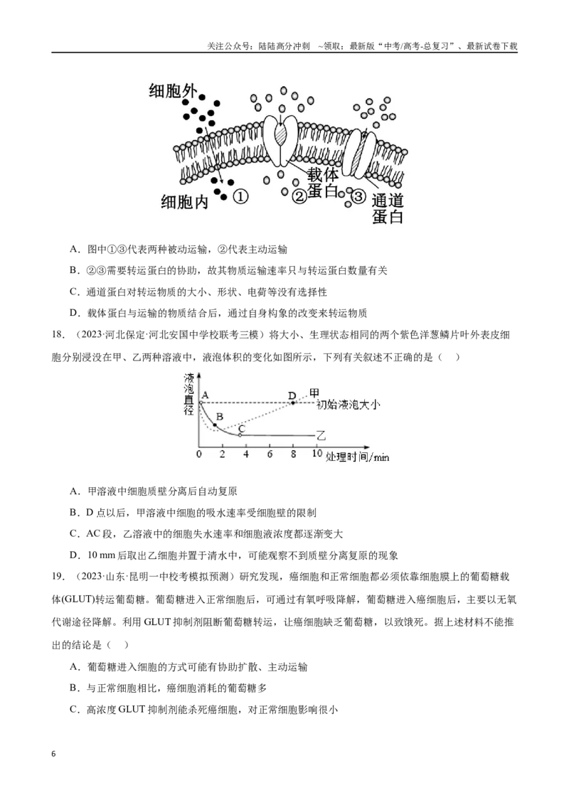 《必刷03细胞的物质输入和输出（原卷版）_06-生物-高考总复习_专项复习_2024年_2024年新高考生物总复习高频考点必刷800题新教材_资料》第6页预览