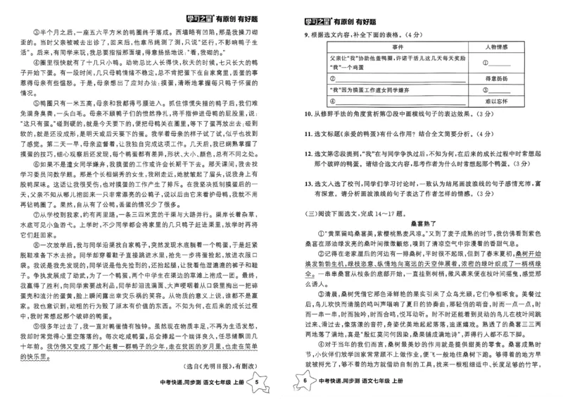 《七上语文阅读训练A3_26秋小学初中各机构教辅大合集（一本、教材帮、阳光同学、王朝霞、实验班、小典中点、上分卷、白欧、课堂笔记等等）_26秋初中教辅资料_26秋《学习之星》系列》第5页预览