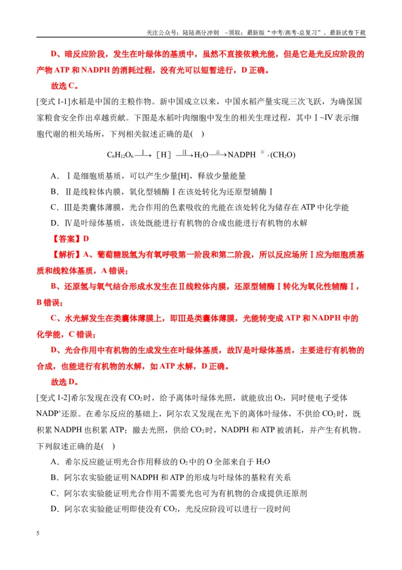 《易错点06光合与呼吸综合易错综合（5大陷阱）（教师版）_06-生物-高考总复习_专项复习_2025年_2025年高考生物考试易错题（新高考通用）》第5页预览