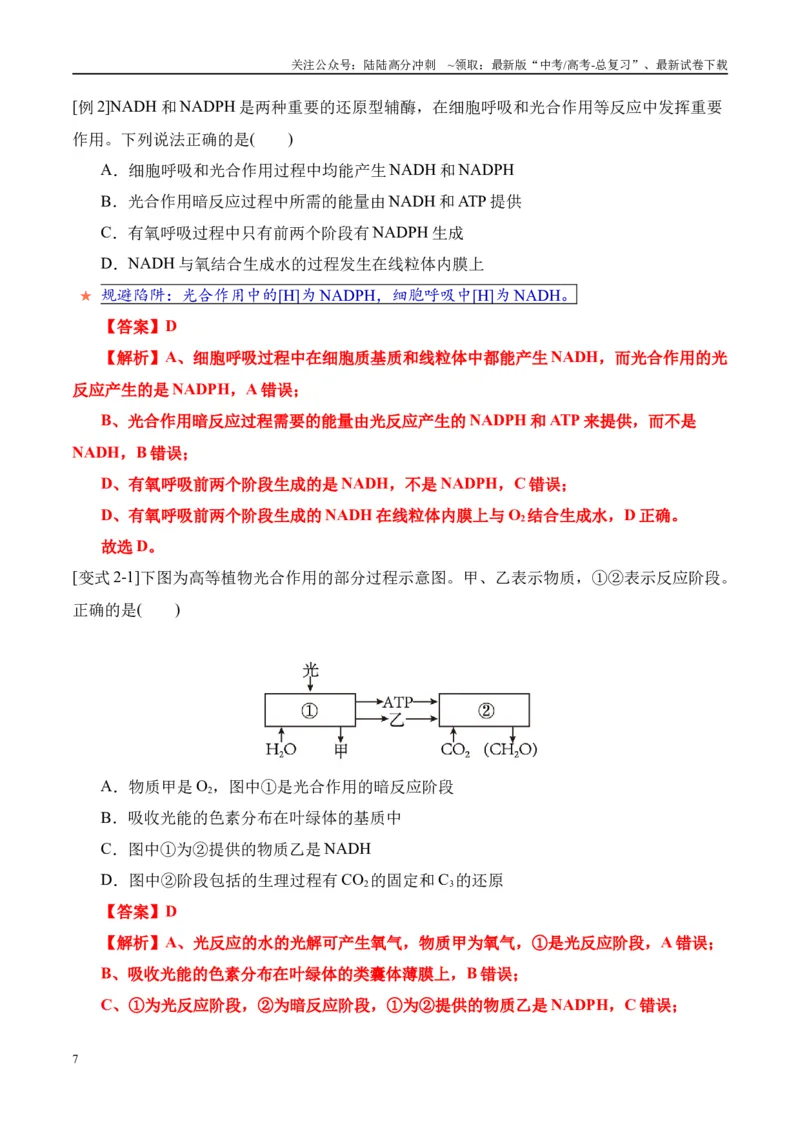 《易错点06光合与呼吸综合易错综合（5大陷阱）（教师版）_06-生物-高考总复习_专项复习_2025年_2025年高考生物考试易错题（新高考通用）》第7页预览