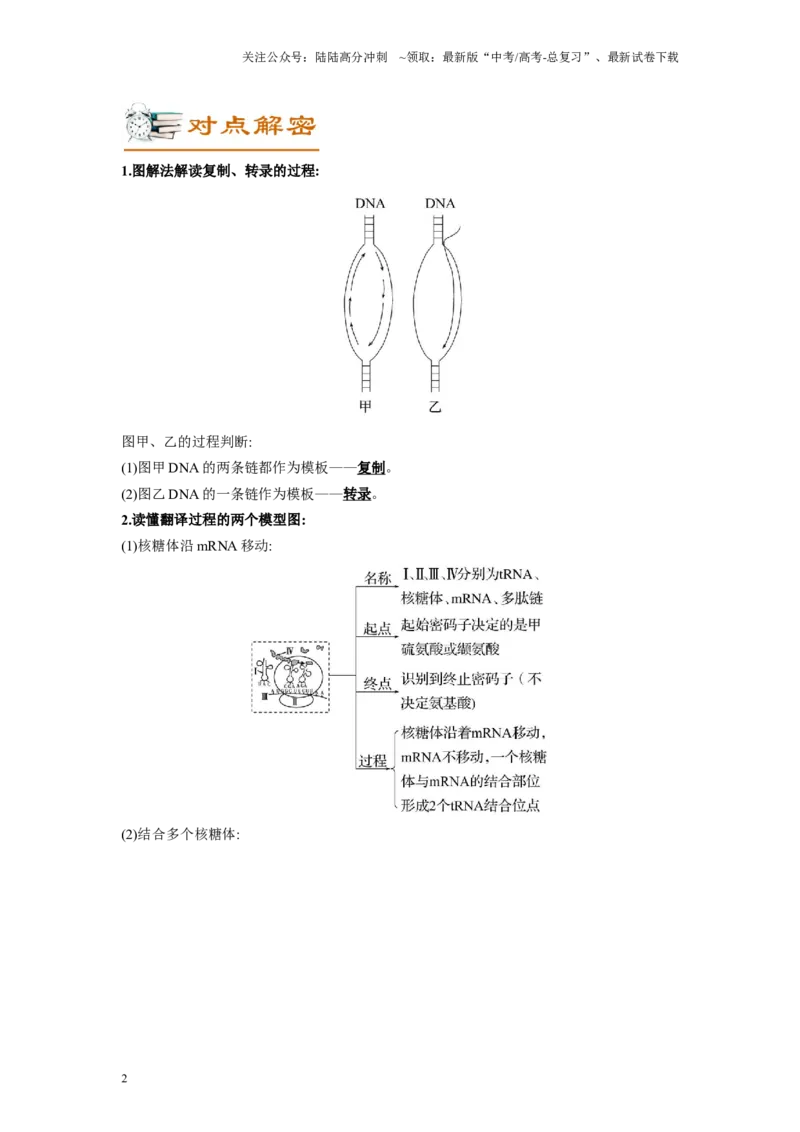 《解密10基因的表达（讲义)-高频考点解密2023年高考生物二轮复习讲义+分层训练（新教材）_06-生物-高考总复习_二轮复习_2024年_2024年新教材高考生物二轮复习讲义分层训练题考点_资料》第2页预览