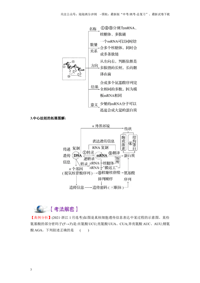 《解密10基因的表达（讲义)-高频考点解密2023年高考生物二轮复习讲义+分层训练（新教材）_06-生物-高考总复习_二轮复习_2024年_2024年新教材高考生物二轮复习讲义分层训练题考点_资料》第3页预览