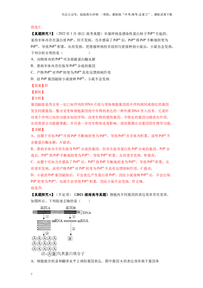 《解密10基因的表达（讲义)-高频考点解密2023年高考生物二轮复习讲义+分层训练（新教材）_06-生物-高考总复习_二轮复习_2024年_2024年新教材高考生物二轮复习讲义分层训练题考点_资料》第7页预览