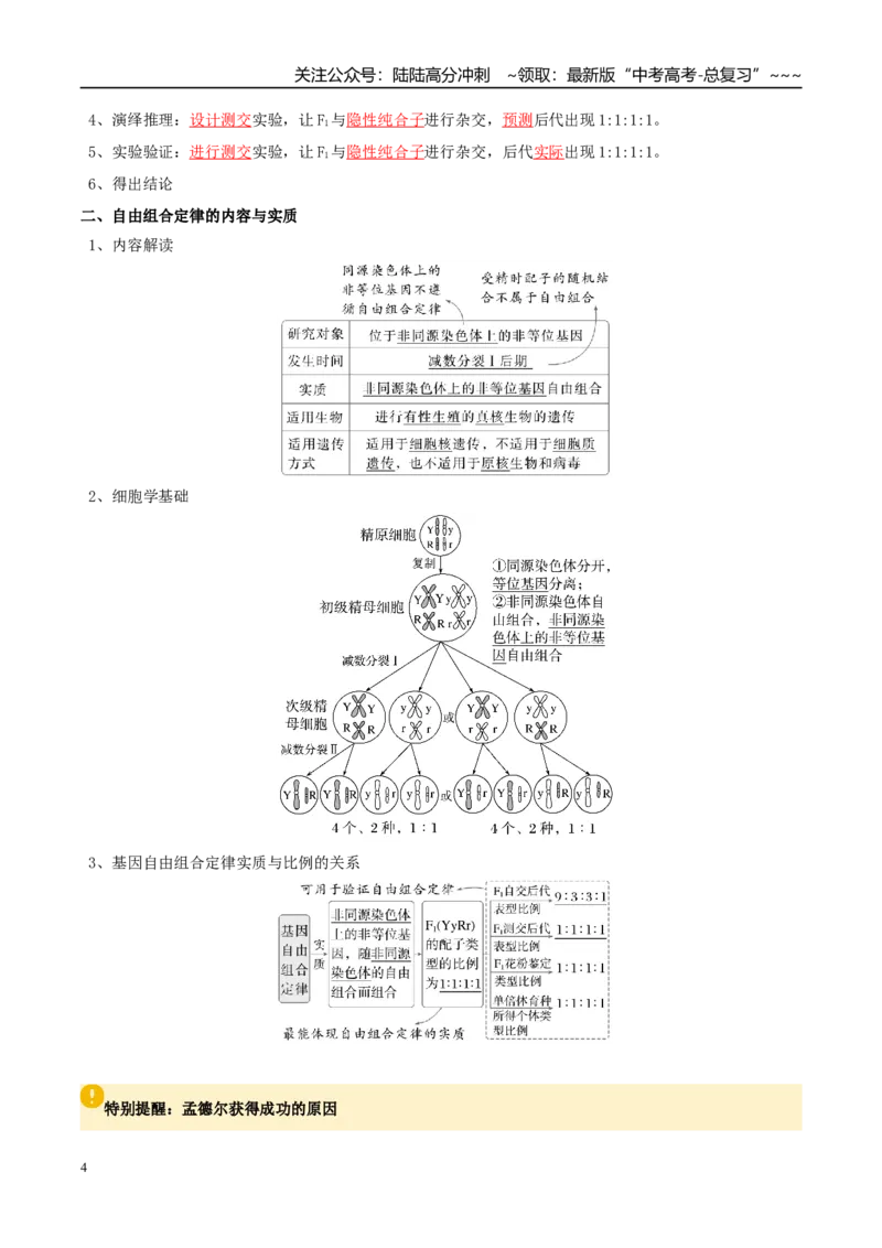 《抢分清单05遗传的基本规律和人类遗传病（7大考点+6大易错）（核心知识必背）_06-生物-高考总复习_专项复习_2026年-生物高考专项复习_2026年高考生物终极冲刺讲练测（全国通用）-G459_2026版》第4页预览
