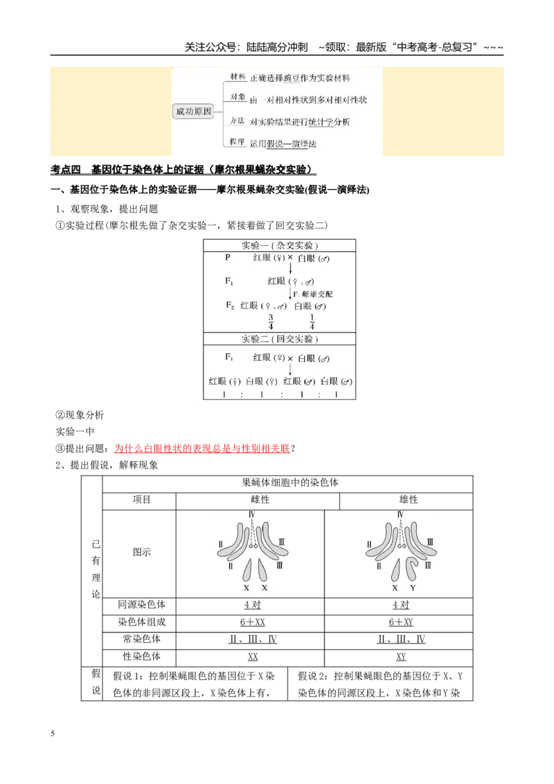 《抢分清单05遗传的基本规律和人类遗传病（7大考点+6大易错）（核心知识必背）_06-生物-高考总复习_专项复习_2026年-生物高考专项复习_2026年高考生物终极冲刺讲练测（全国通用）-G459_2026版》第5页预览
