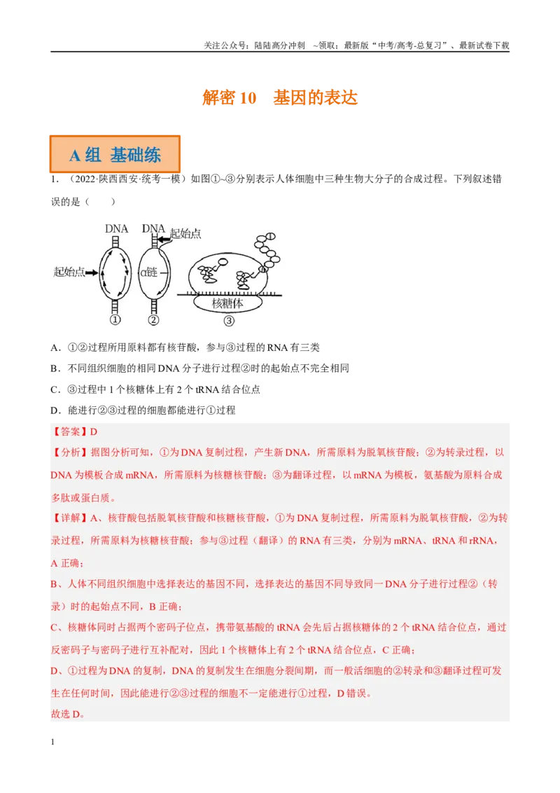 《解密10基因的表达（分层训练）-高频考点解密2023年高考生物二轮复习讲义+分层训练（新教材）（解析版）_06-生物-高考总复习_二轮复习_2024年_资料》第1页预览