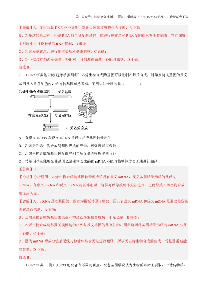 《解密10基因的表达（分层训练）-高频考点解密2023年高考生物二轮复习讲义+分层训练（新教材）（解析版）_06-生物-高考总复习_二轮复习_2024年_资料》第5页预览