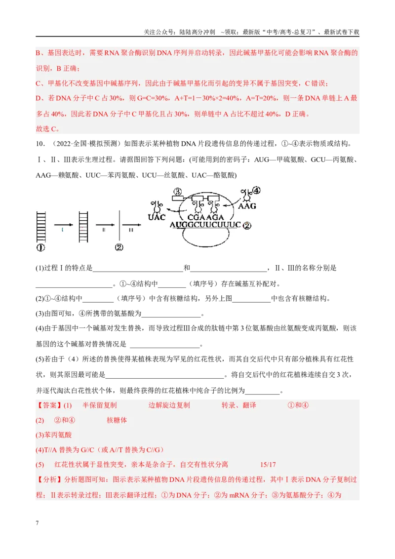 《解密10基因的表达（分层训练）-高频考点解密2023年高考生物二轮复习讲义+分层训练（新教材）（解析版）_06-生物-高考总复习_二轮复习_2024年_资料》第7页预览
